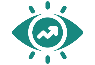 Vision Icon